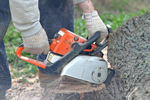 Leaf Removal in Candler Mcafee, GA